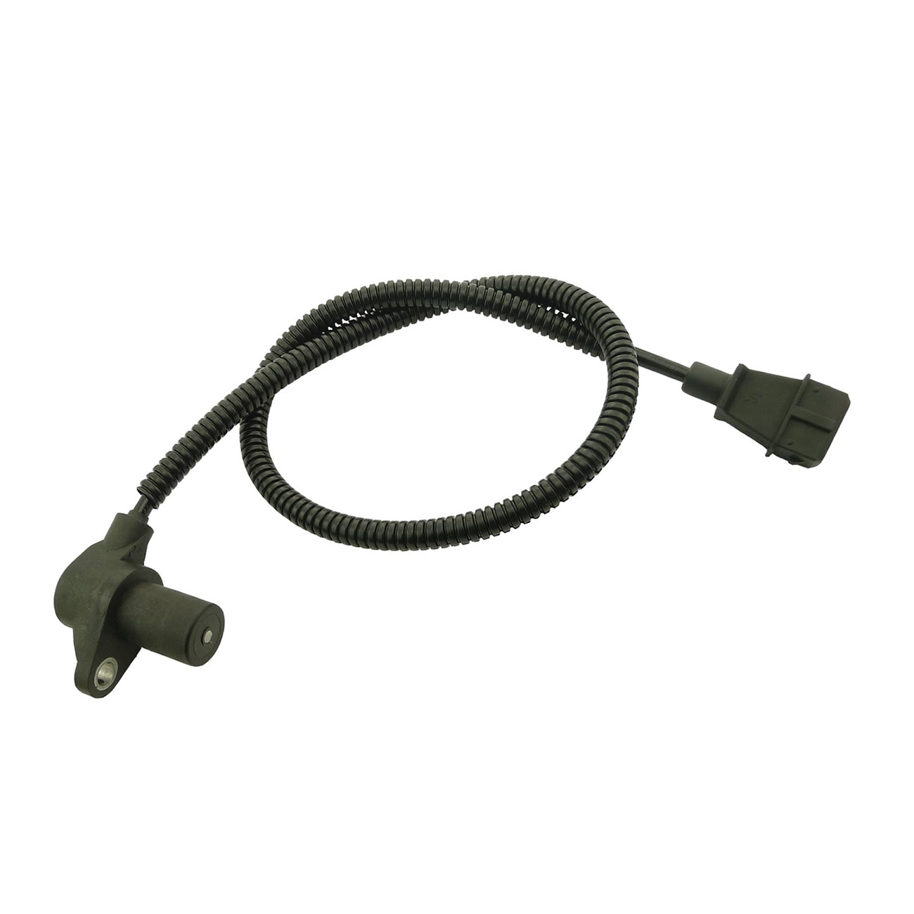 Sensor De Rpm Fiat Ducato Citroen Jumper Peugeot Boxer 2.8 D